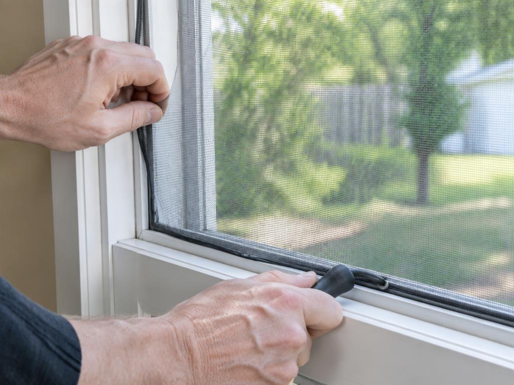 Window Screens